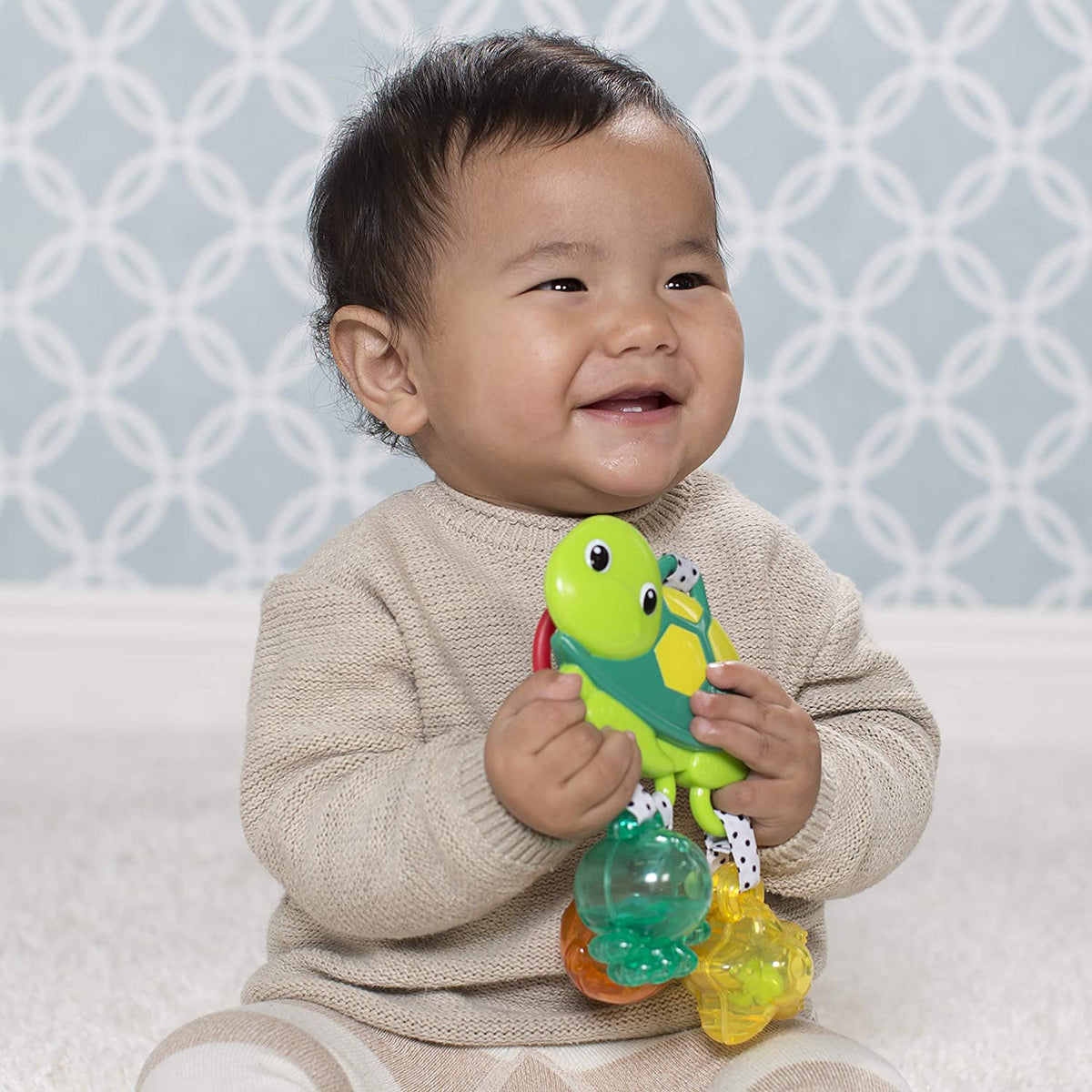 Turtle Rattle N784979