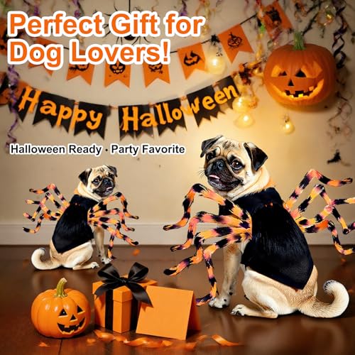 LED Spider Dog Halloween Costume with Multicolor Lights T13532