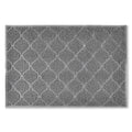 Large Trapper Litter Mat N46533