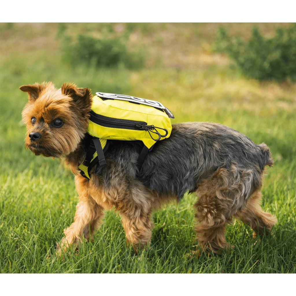 Walk On with Harness & Storage A654